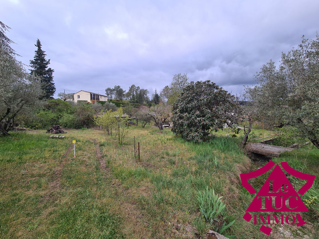 BEAU TERRAIN ARBORE BEAU TERRAIN ARBORE