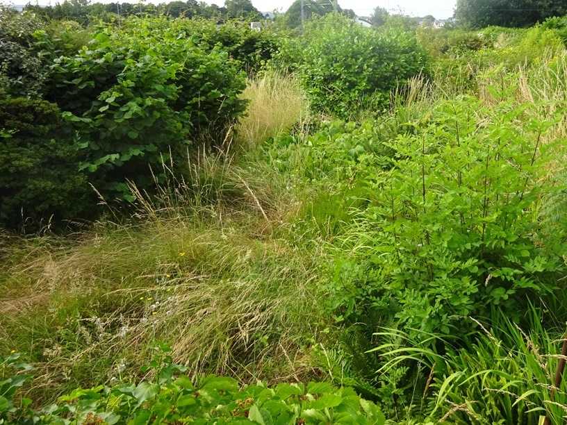 A VENDRE BREST SAINT MARC MOULIN BLANC TERRAIN CONSTRUCTIBLE DE 1373 m² A VENDRE BREST SAINT MARC MOULIN BLANC TERRAIN CONSTRUCTIBLE DE 1373 m²