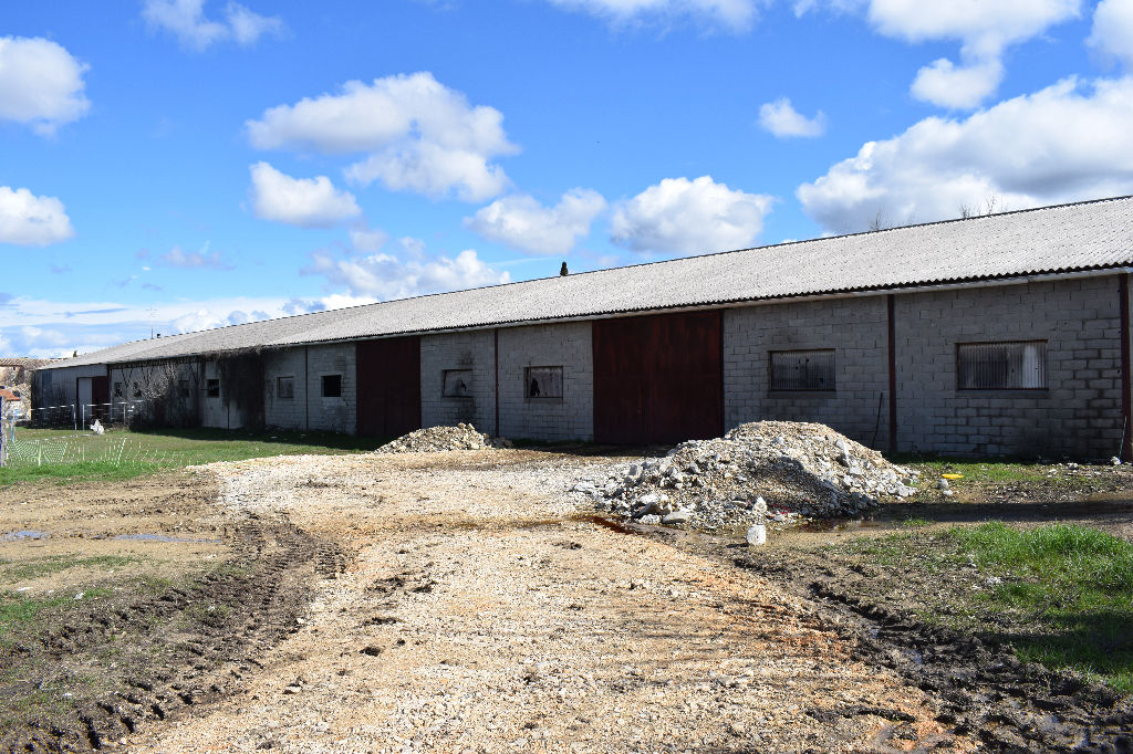Hangar plus terres agricoles Hangar plus terres agricoles