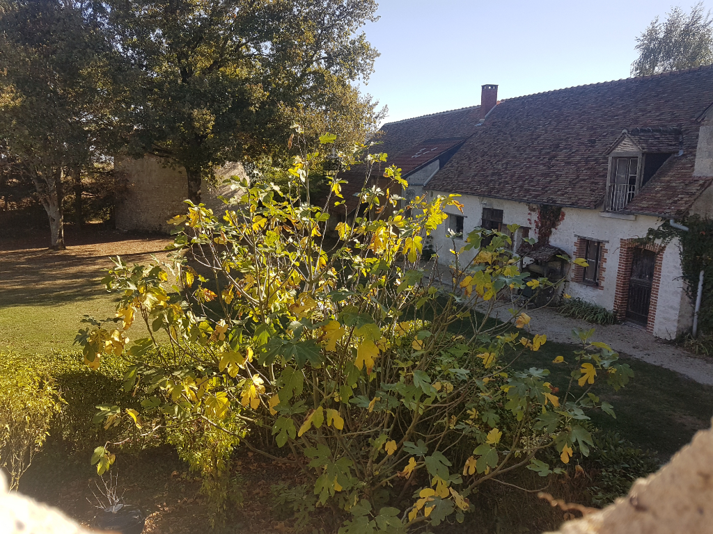 Maison ancienne 181 m2 Maison ancienne 181 m2