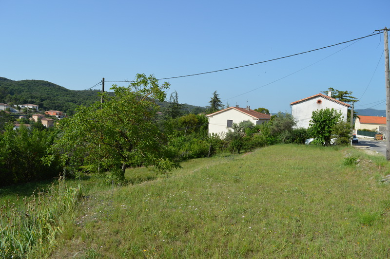 Terrain 748 m2 borné Terrain 748 m2 borné