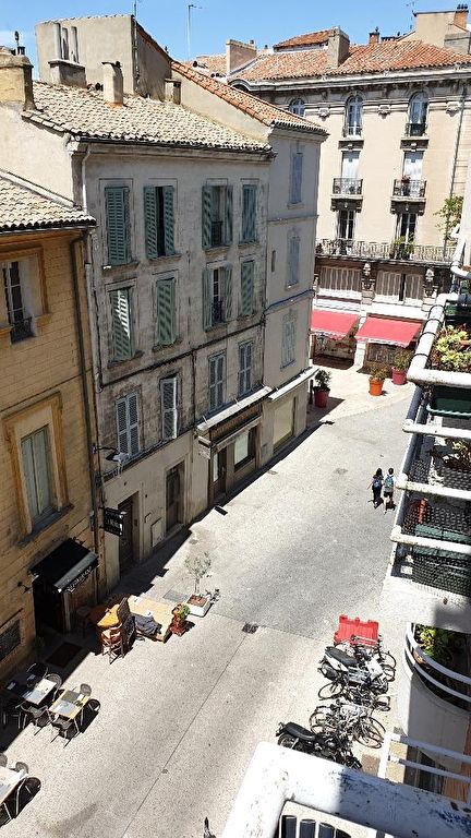 AVIGNON INTRA MUROS PLACE PIE T.2. A LOUER AVIGNON INTRA MUROS PLACE PIE T.2. A LOUER