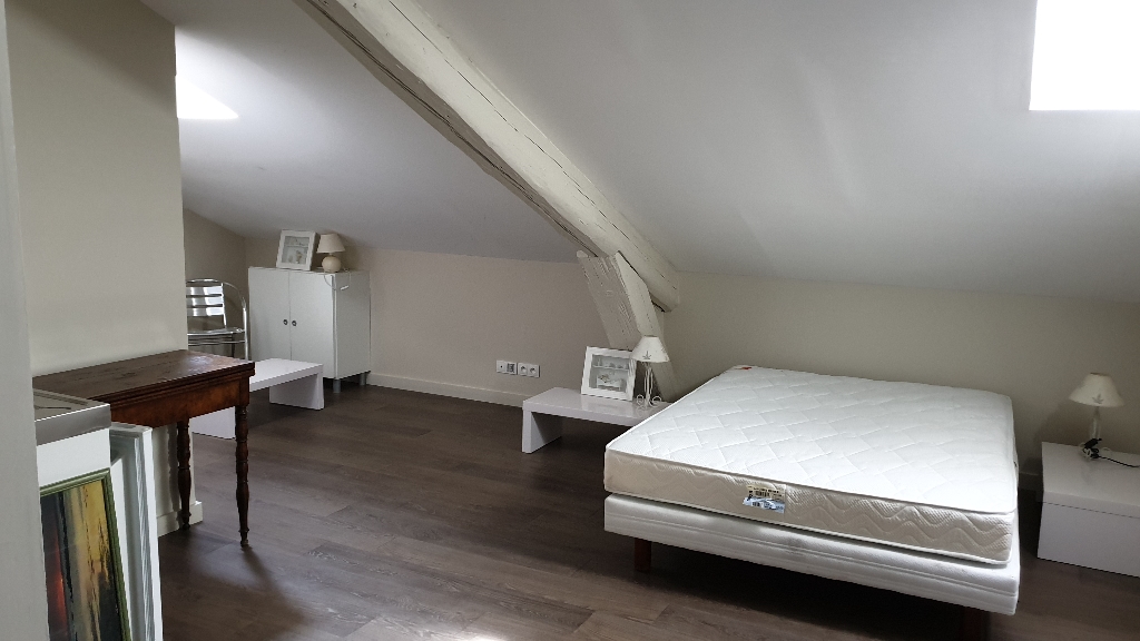 AVIGNON INTRA RUE VICTOR HUGO STUDIO MEUBLE A LOUER DANS HOTEL PARTICULIER AVIGNON INTRA RUE VICTOR HUGO STUDIO MEUBLE A LOUER DANS HOTEL PARTICULIER