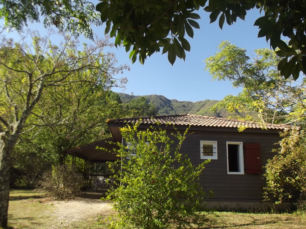 A 3KM les vans TRES BEAU CHALET 40 m2 PISCINE RIVIERE A 3KM les vans TRES BEAU CHALET 40 m2 PISCINE RIVIERE