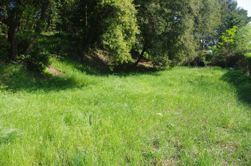 Terrain 84500 Bollene 2500 m2 Terrain 84500 Bollene 2500 m2