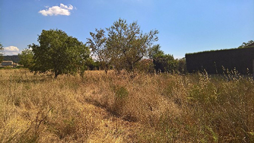 Terrain 84500 Bollene 650 m2 Terrain 84500 Bollene 650 m2