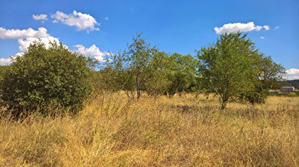Terrain 84500 Bollene 650 m2 Terrain 84500 Bollene 650 m2