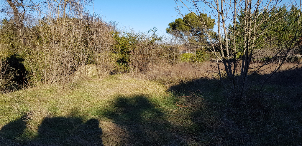 Terrain 84500 Bollene 3000 m² Terrain 84500 Bollene 3000 m²