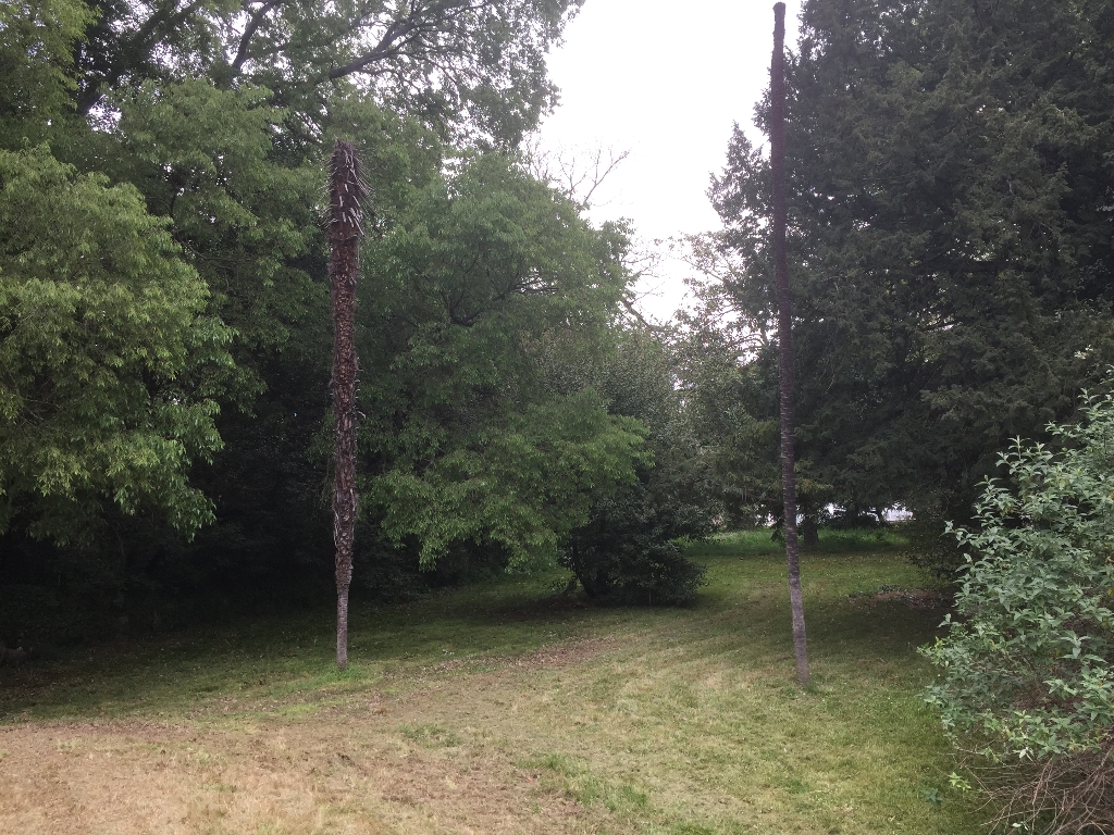 Terrain 30130 Pont Saint Esprit 1986 m2 Terrain 30130 Pont Saint Esprit 1986 m2