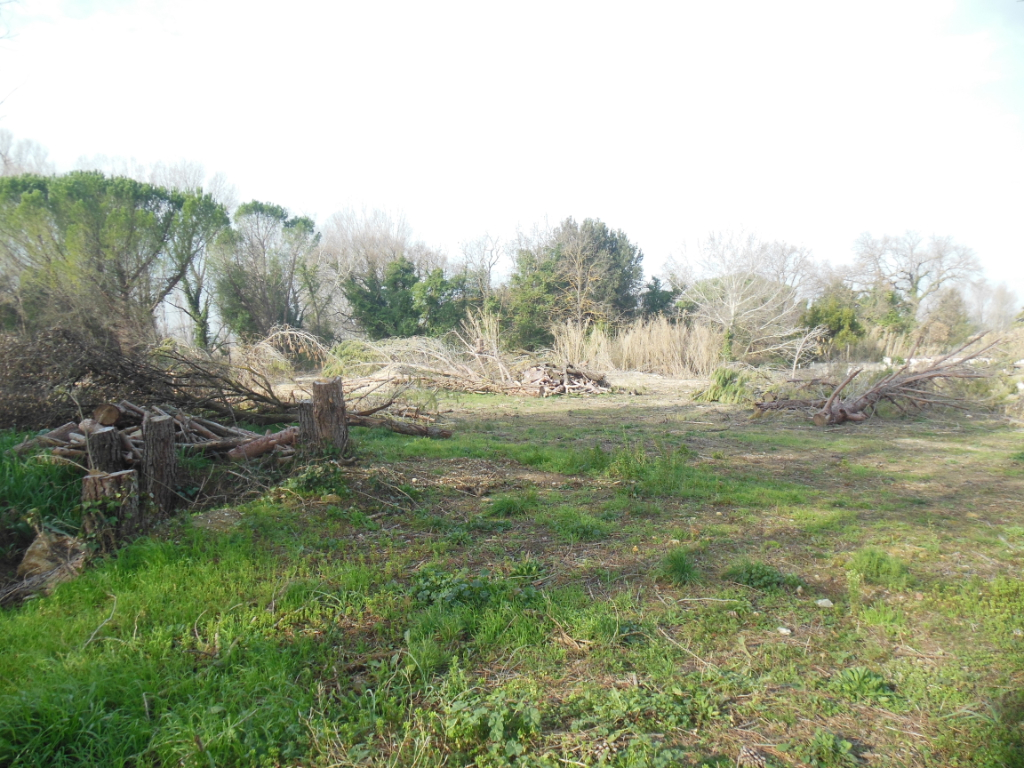 Terrain 1500m² 84500 Bollene Terrain 1500m² 84500 Bollene