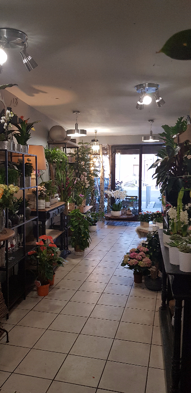 Fonds de commerce fleurs fleuriste 84500 Bollene 58 m² Fonds de commerce fleurs fleuriste 84500 Bollene 58 m²