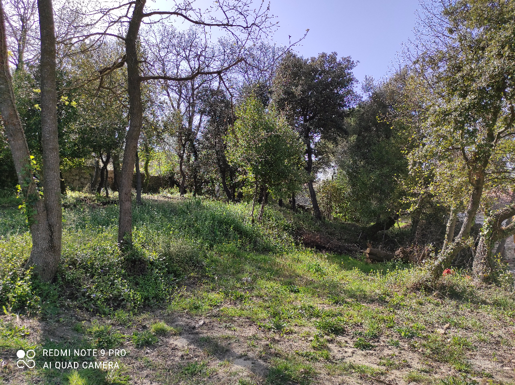 Terrain 1184 m² 84500 bollène Terrain 1184 m² 84500 bollène