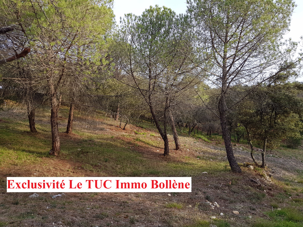 Terrain 26790 Rochegude 1500 m2 Terrain 26790 Rochegude 1500 m2