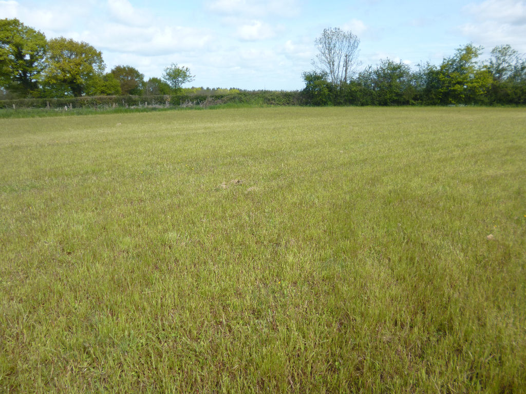 Terrain de 3350M² constructible Terrain de 3350M² constructible