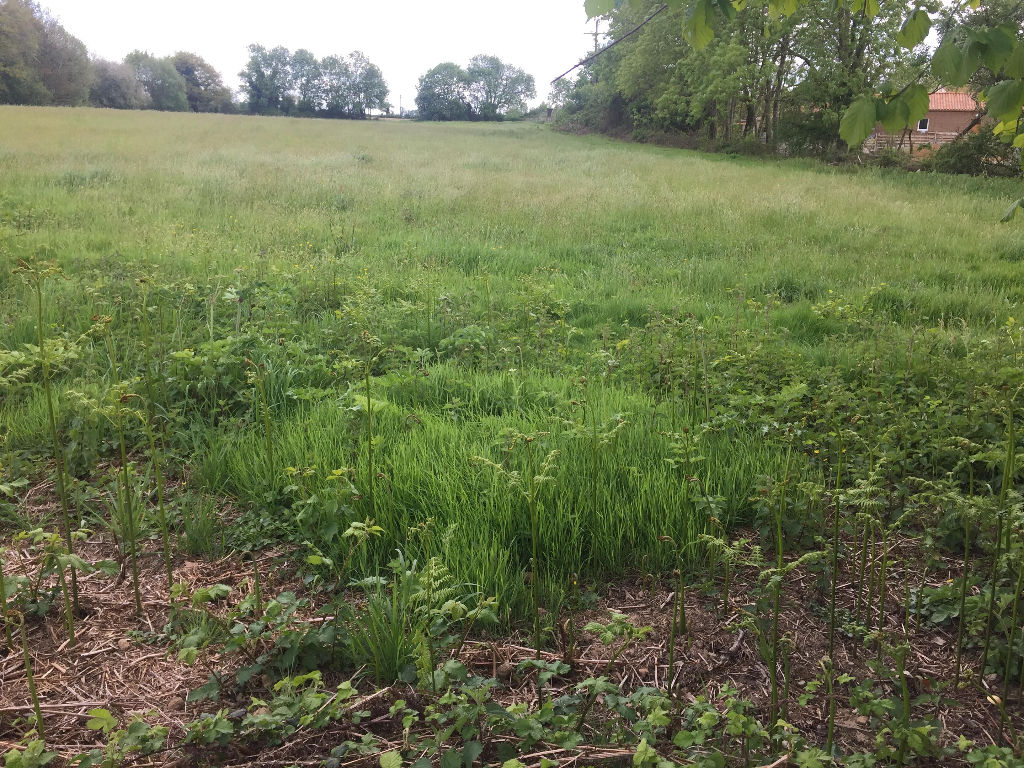 CERIZAY - Terrain constructible CERIZAY - Terrain constructible