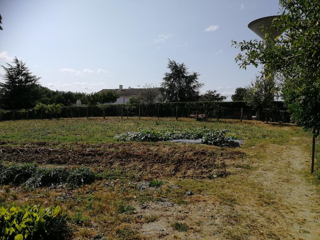 TERRAIN CONSTRUCTIBLE CHANTONNAY TERRAIN CONSTRUCTIBLE CHANTONNAY