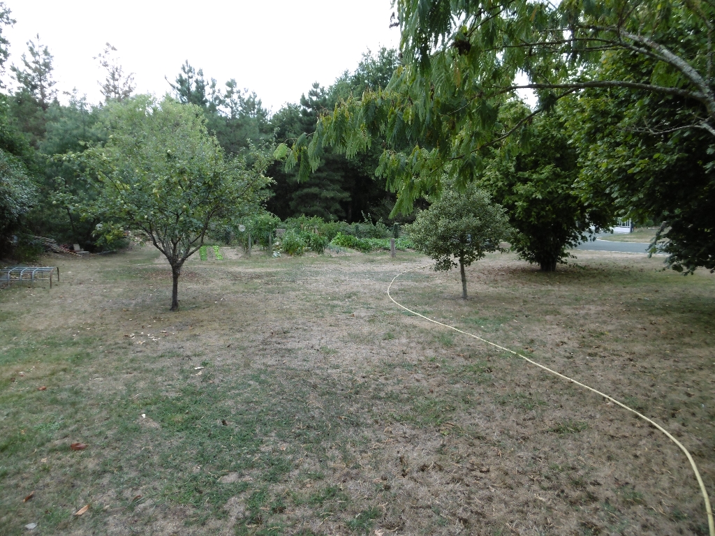 Vends Terrain constructible viabilisé Vends Terrain constructible viabilisé