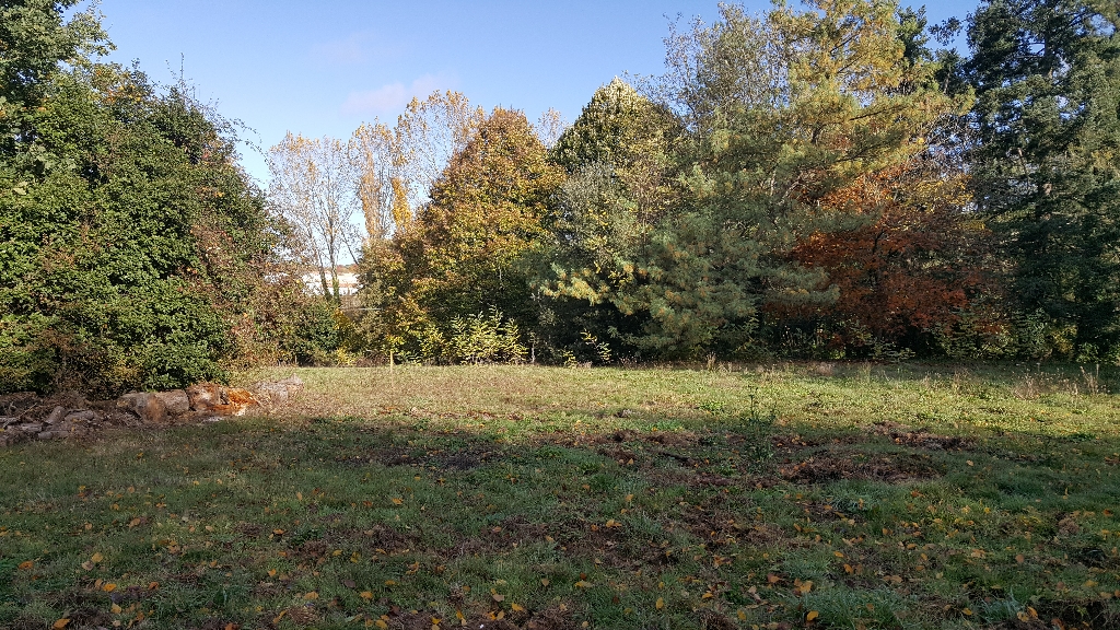 TERRAIN VIABILISE CONSTRUCTIBLE DE 810 M2 A LA ROCHE SUR YON TERRAIN VIABILISE CONSTRUCTIBLE DE 810 M2 A LA ROCHE SUR YON