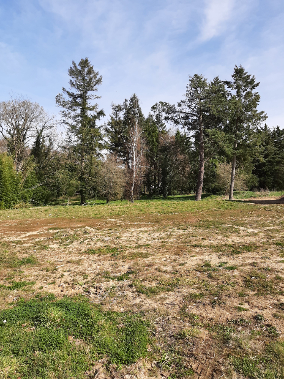 TERRAIN VIABILISE CONSTRUCTIBLE DE 1 495 M2 A LA ROCHE SUR YON TERRAIN VIABILISE CONSTRUCTIBLE DE 1 495 M2 A LA ROCHE SUR YON