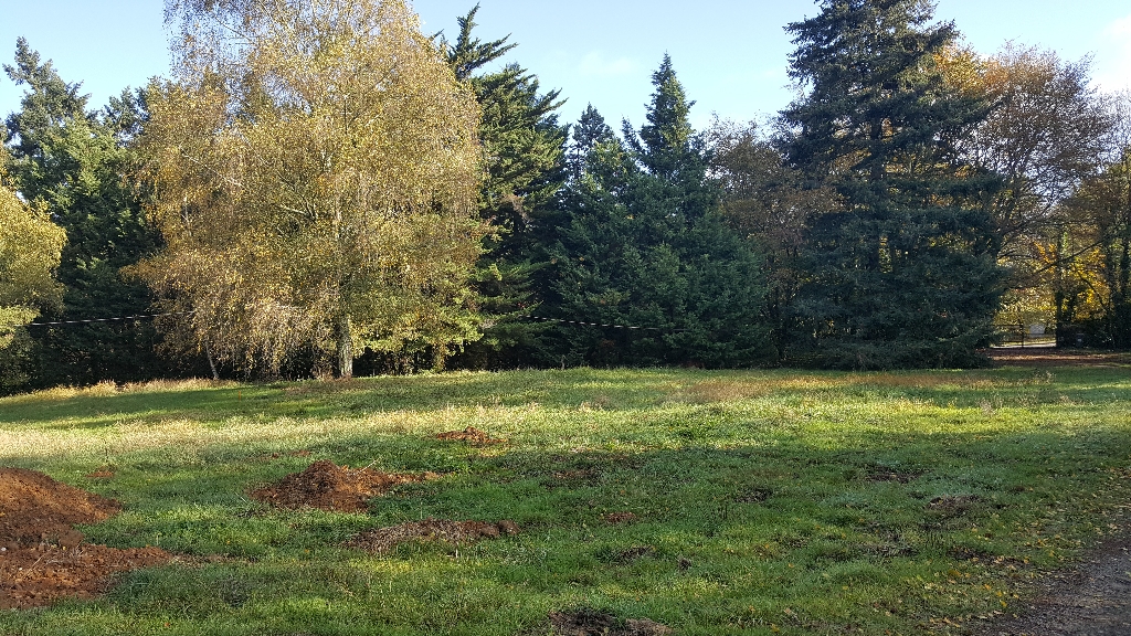 TERRAIN VIABILISE CONSTRUCTIBLE DE 1 558M2 A LA ROCHE SUR YON TERRAIN VIABILISE CONSTRUCTIBLE DE 1 558M2 A LA ROCHE SUR YON