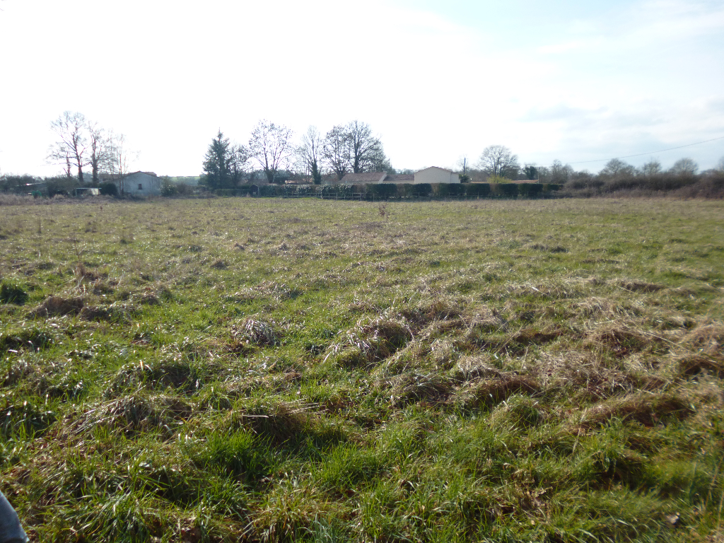 CHICHE - Terrain de 8 225 m2 CHICHE - Terrain de 8 225 m2