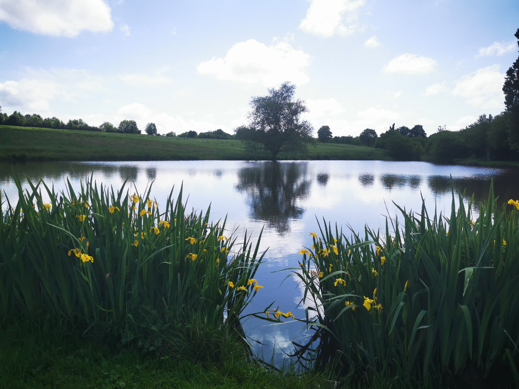 Etang Etang