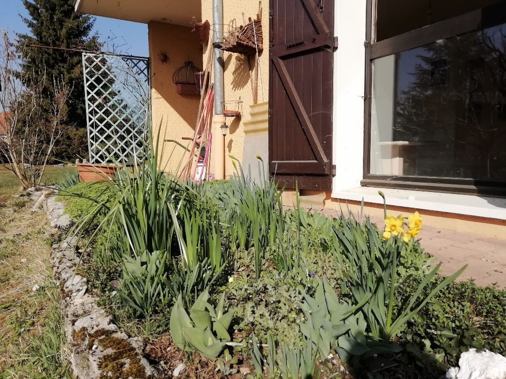 Le bon compromis entre petite maison et appartement! Le bon compromis entre petite maison et appartement!
