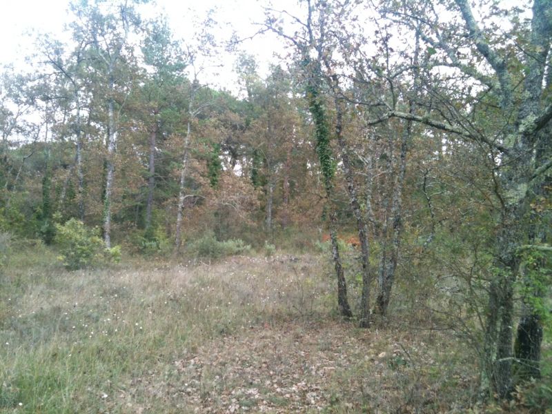 Terrain AGRICOLE Saint-cézaire-sur-siagne 2500 m2 Terrain AGRICOLE Saint-cézaire-sur-siagne 2500 m2
