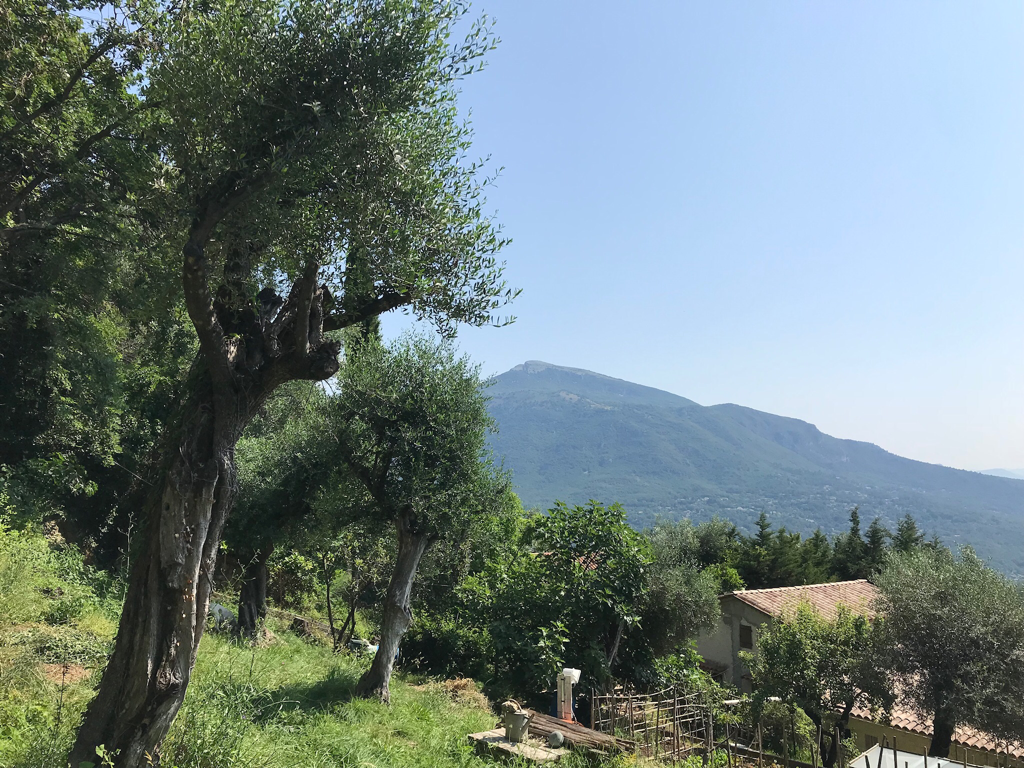 EXCLUSIVITE: Bar sur loup dominant terrain constructible avec permis de construire EXCLUSIVITE: Bar sur loup dominant terrain constructible avec permis de construire