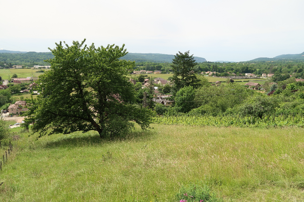 Terrain Villebois 872 m2 Terrain Villebois 872 m2