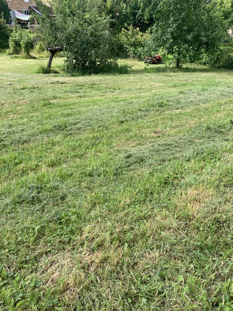 10 min AMBERIEU EN BUGEY - Terrain à bâtir 800 m² 10 min AMBERIEU EN BUGEY - Terrain à bâtir 800 m²