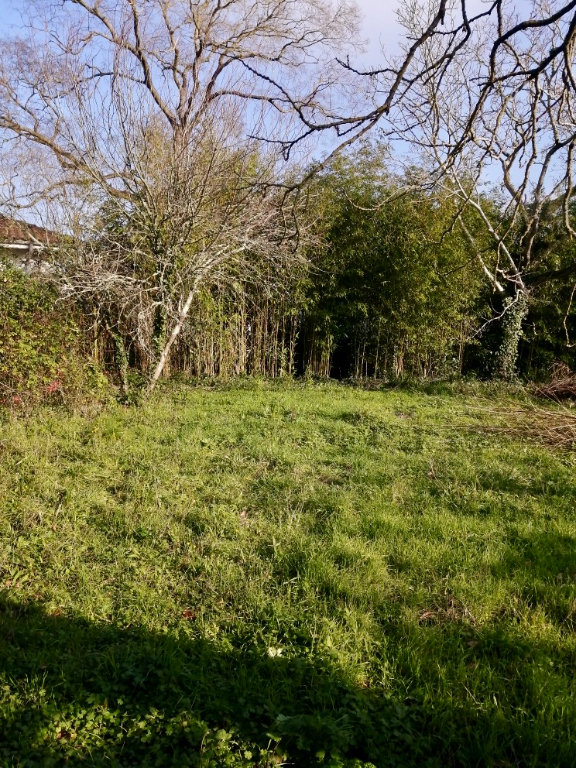 Meschers Centre Ville Terrain constructible 384 M2 Meschers Centre Ville Terrain constructible 384 M2