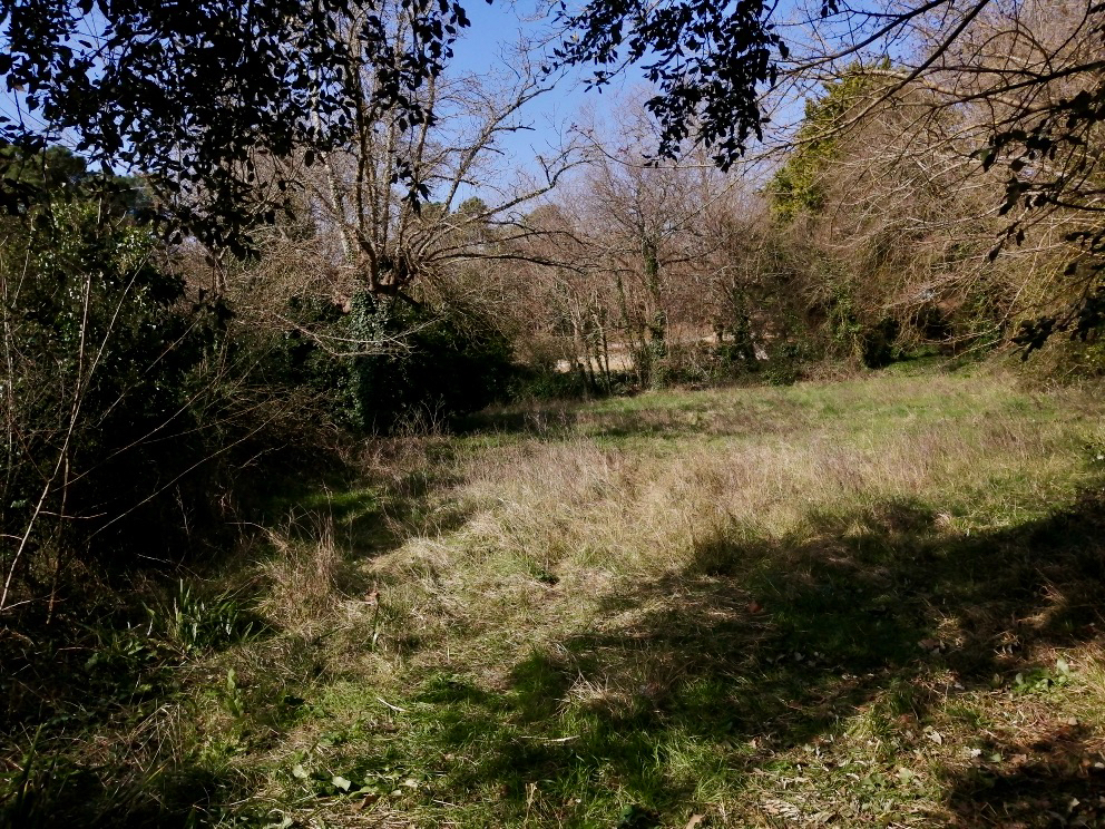 Terrain Meschers Proches des plages 761 m2 Terrain Meschers Proches des plages 761 m2