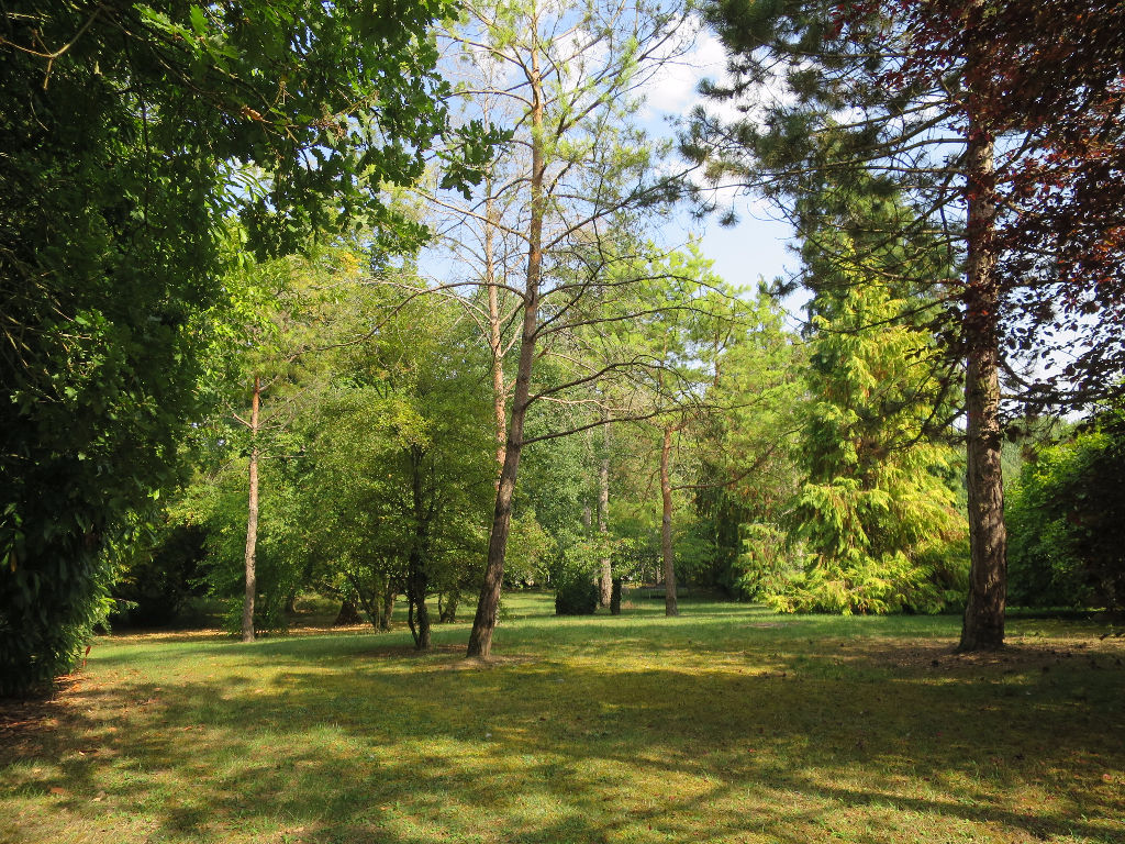 RARE : TERRAIN CONSTRUCTIBLE DE 1034 M2 A MIGNE-AUXANCES RARE : TERRAIN CONSTRUCTIBLE DE 1034 M2 A MIGNE-AUXANCES