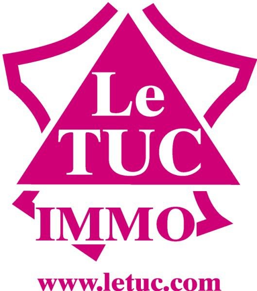 IMMEUBLE POITIERS PLATEAU 250 M2 LOUE EN MEUBLE IMMEUBLE POITIERS PLATEAU 250 M2 LOUE EN MEUBLE