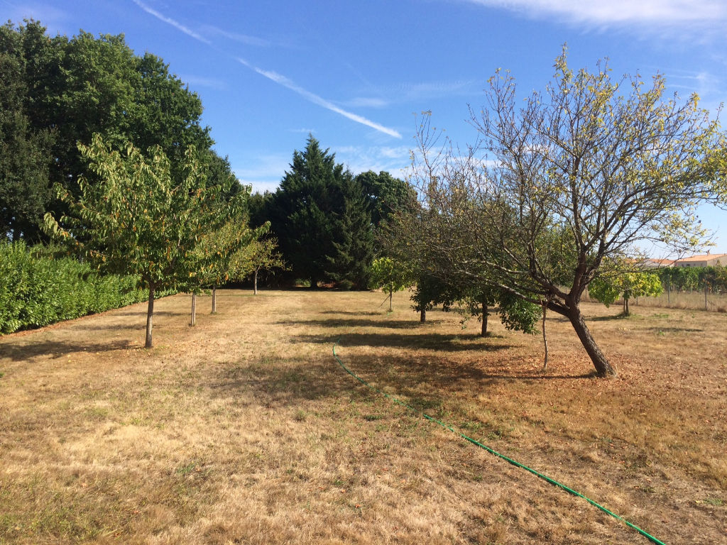 Terrain 1820 m2 Terrain 1820 m2