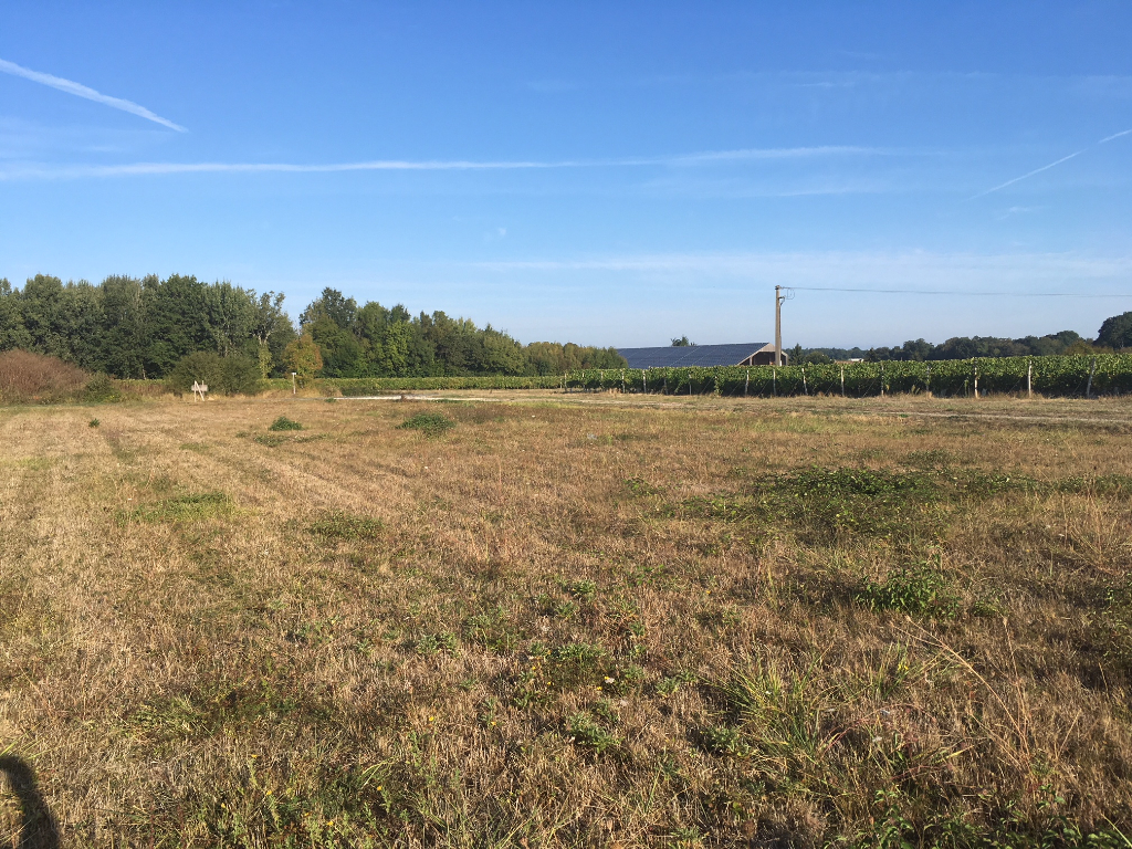 Terrain constructible à SAINT BRIS DES BOIS Terrain constructible à SAINT BRIS DES BOIS