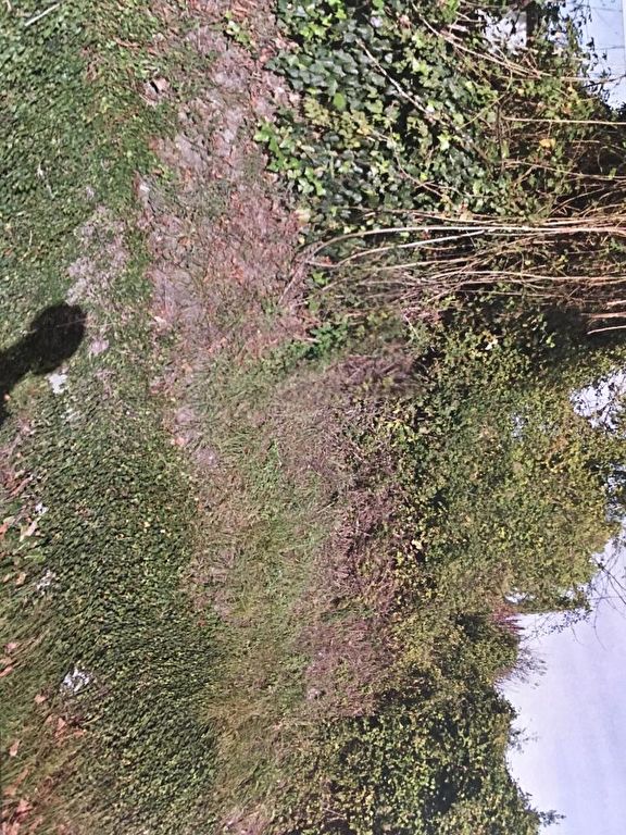 Saintes (17) rive gauche - Terrain constructible Saintes (17) rive gauche - Terrain constructible