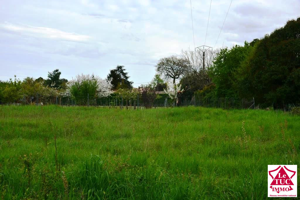 Terrain viabilisé 1435 m² - Bourg sur gironde Terrain viabilisé 1435 m² - Bourg sur gironde