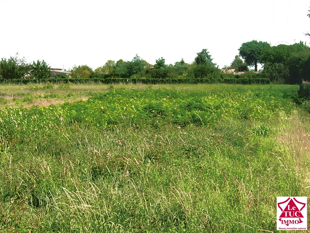 Terrain à batir viabilisé 1288 m² - Bourg sur gironde Terrain à batir viabilisé 1288 m² - Bourg sur gironde