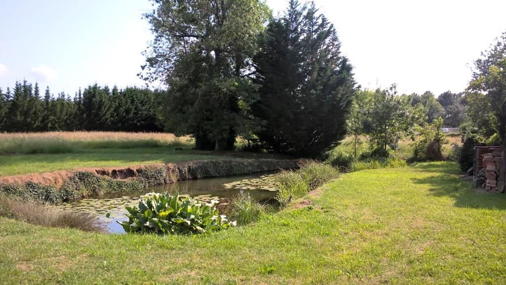 CARTELEGUE Terrain de 3 600 m² avec plan d'eau CARTELEGUE Terrain de 3 600 m² avec plan d'eau