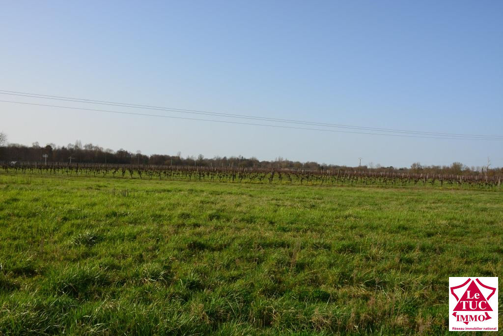 GENERAC (33) Terrain constructible de 1 200 m² en deuxième ligne GENERAC (33) Terrain constructible de 1 200 m² en deuxième ligne