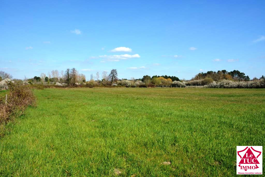CARTELEGUE Terrain à bâtir de 1 500 m² en première ligne CARTELEGUE Terrain à bâtir de 1 500 m² en première ligne