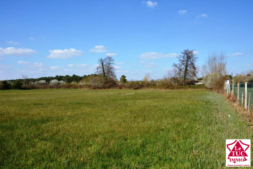 CARTELEGUE Terrain constructible de 1 670 m² en deuxième ligne CARTELEGUE Terrain constructible de 1 670 m² en deuxième ligne