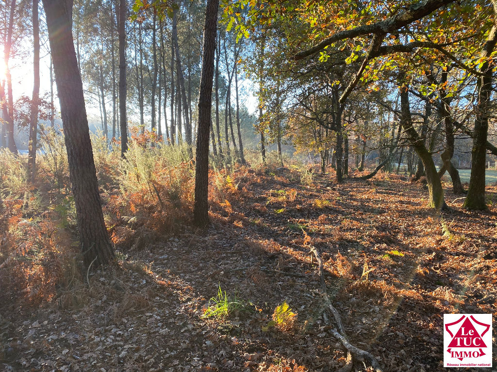 BUSSAC FORET PARCELLE DE TERRE BUSSAC FORET PARCELLE DE TERRE