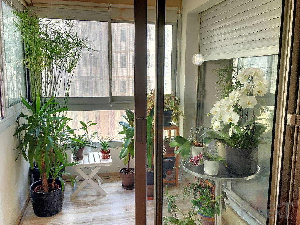 Appartement Vanves grand 2 pièces Appartement Vanves grand 2 pièces