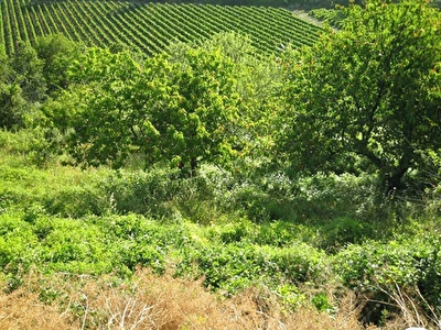 A VENDRE - TERRAIN A BATIR DE 2 715 M2 - JOLIE VUE DEGAGEE