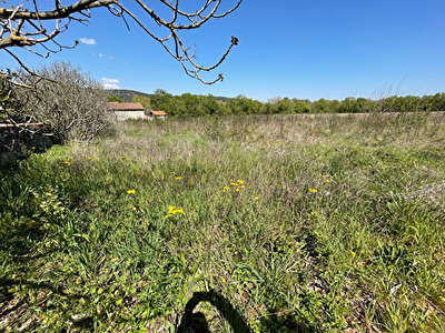 LIMOUX 11300 - TERRAIN A LOTIR 48 000 M2