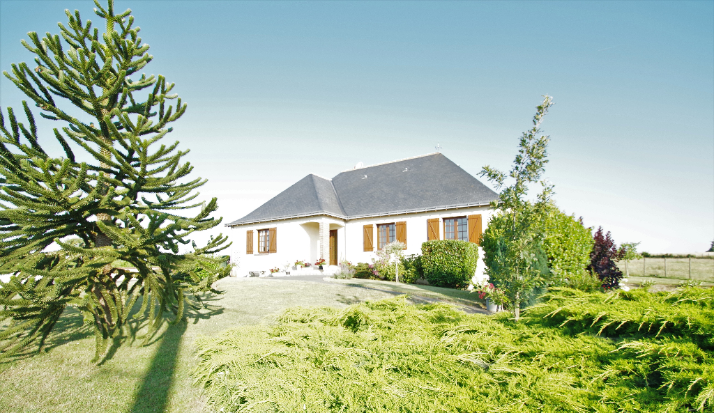 Chalonnes Sur Loire Chalonnes Sur Loire