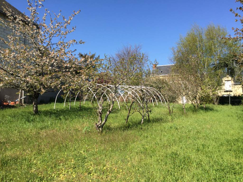 BRISSAC-QUINCE ! BRISSAC-QUINCE !